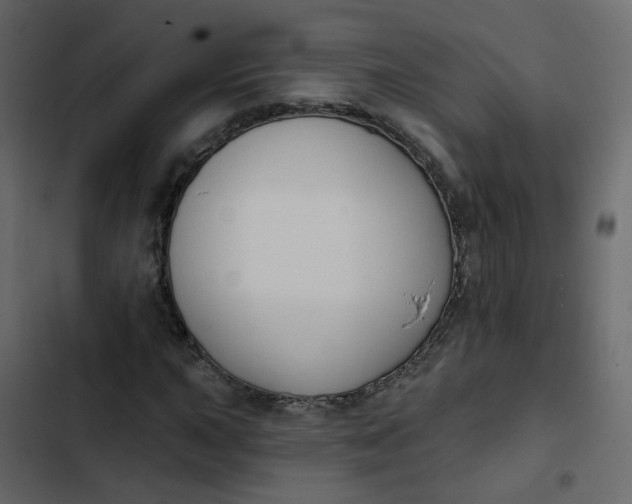 X0000102851015200809021355