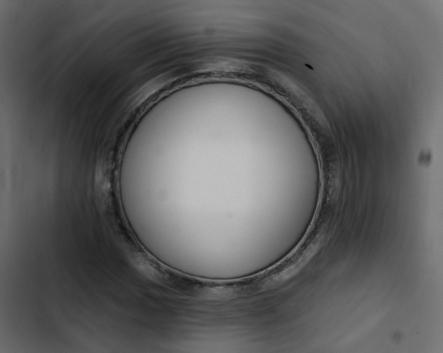 X0000102851017200809021355