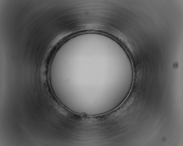 X0000102851019200809021355