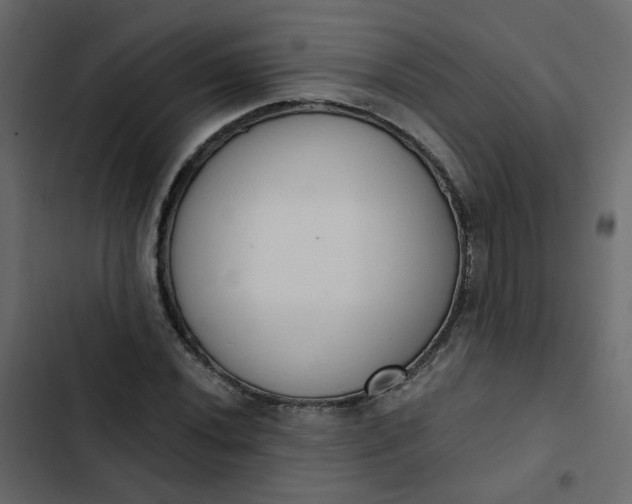 X0000102851020200809021355