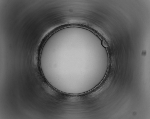 X0000102851021200809021355