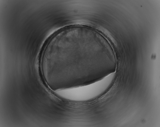 X0000102851024200809021355