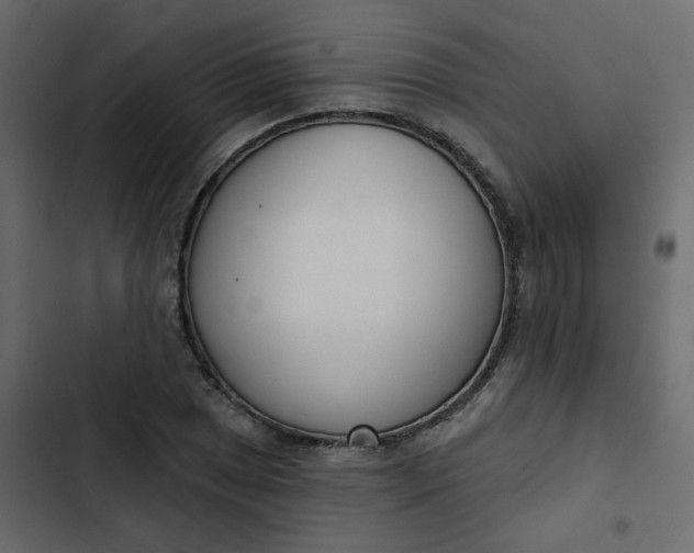 X0000102851025200809021356