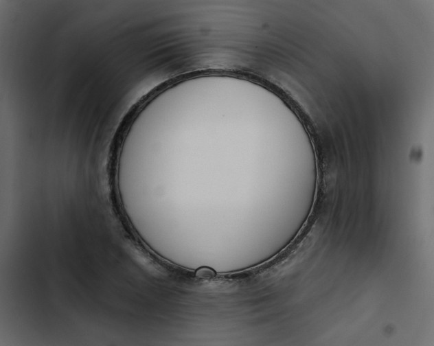 X0000102851026200809021356