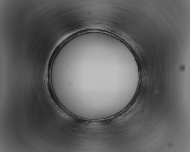 X0000102851028200809021356