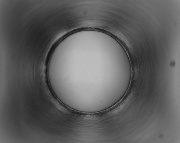 X0000102851029200809021356