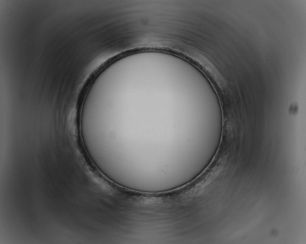 X0000102851030200809021356