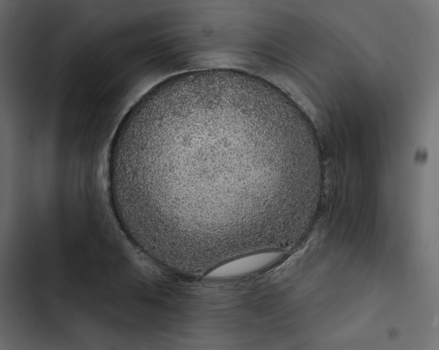 X0000102851031200809021356