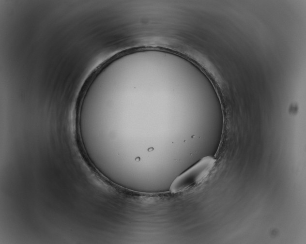 X0000102851032200809021356