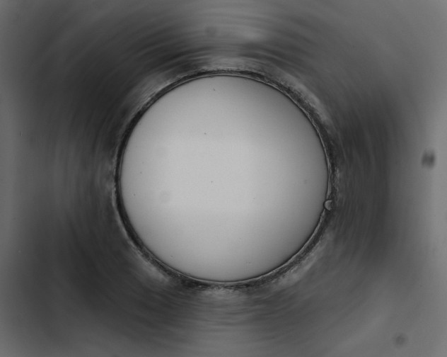 X0000102851033200809021356