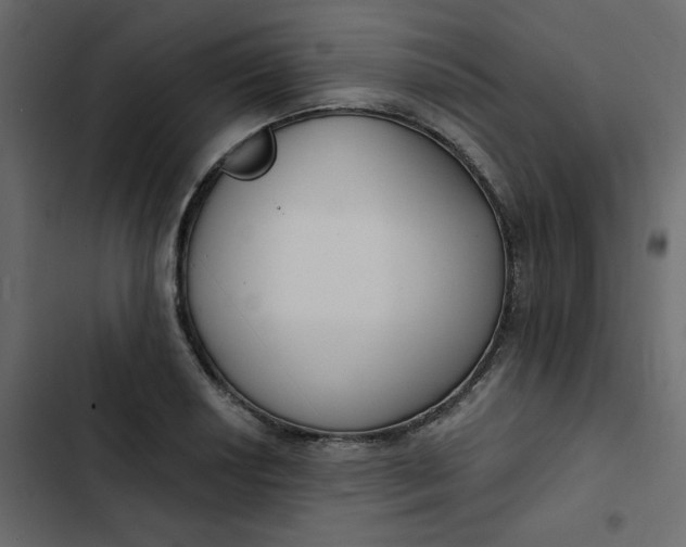 X0000102851034200809021356