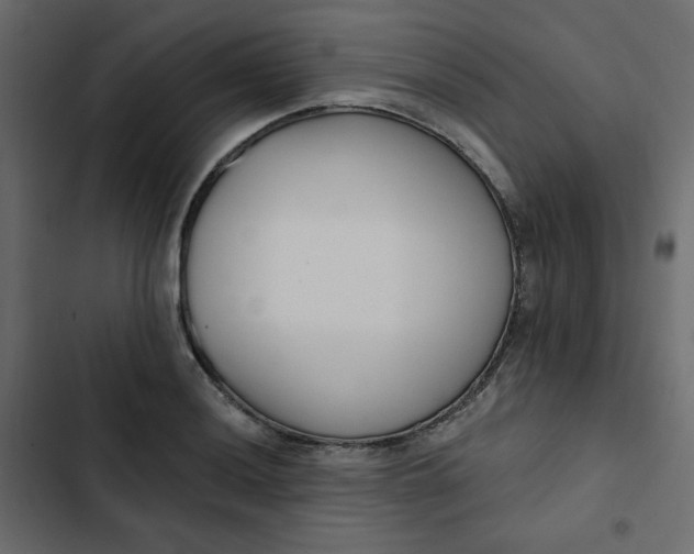 X0000102851036200809021356