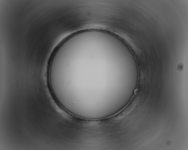 X0000102851038200809021356