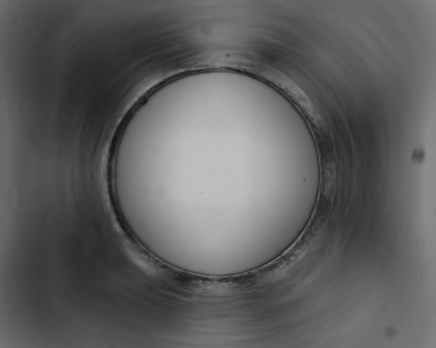 X0000102851039200809021356