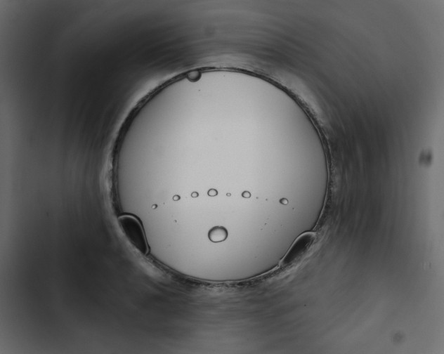 X0000102851040200809021356