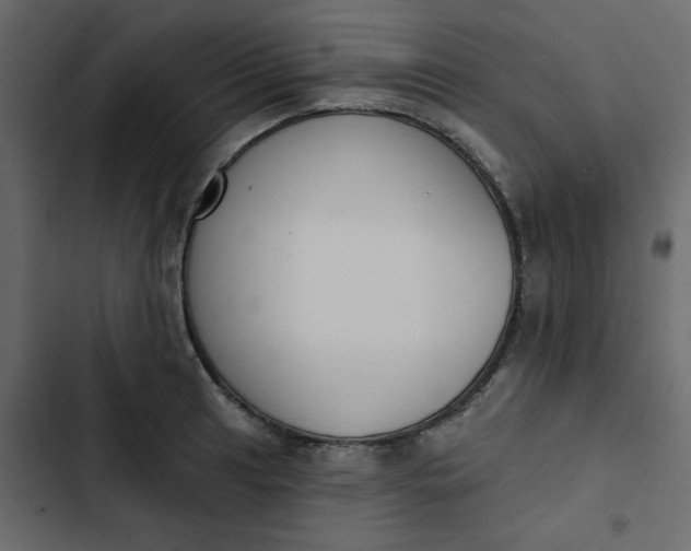 X0000102851041200809021356