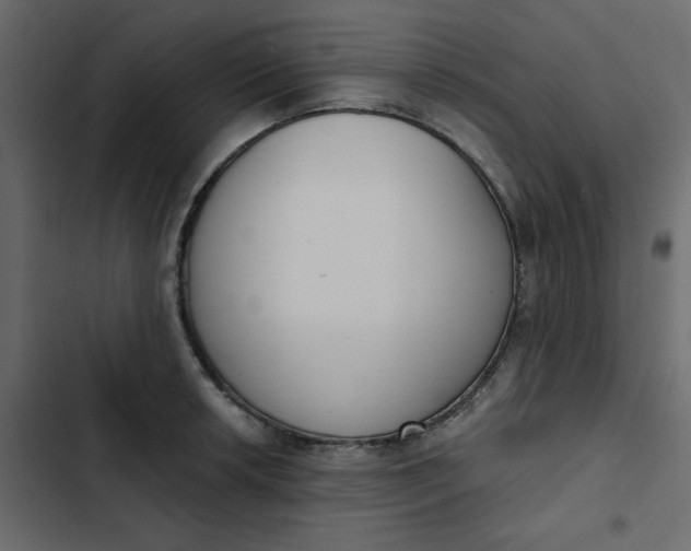 X0000102851042200809021356