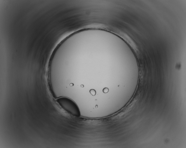 X0000102851044200809021356