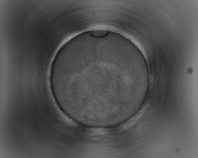 X0000102851045200809021356