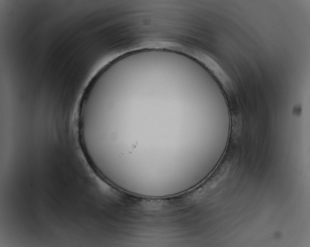 X0000102851046200809021356