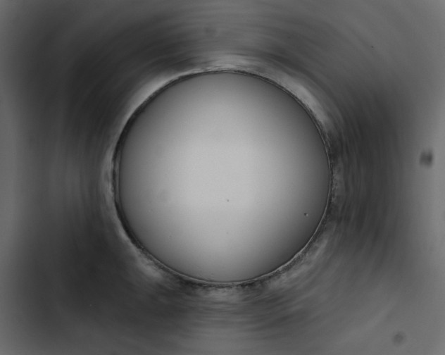 X0000102851047200809021356