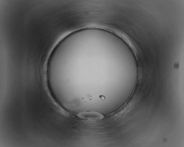 X0000102851048200809021356