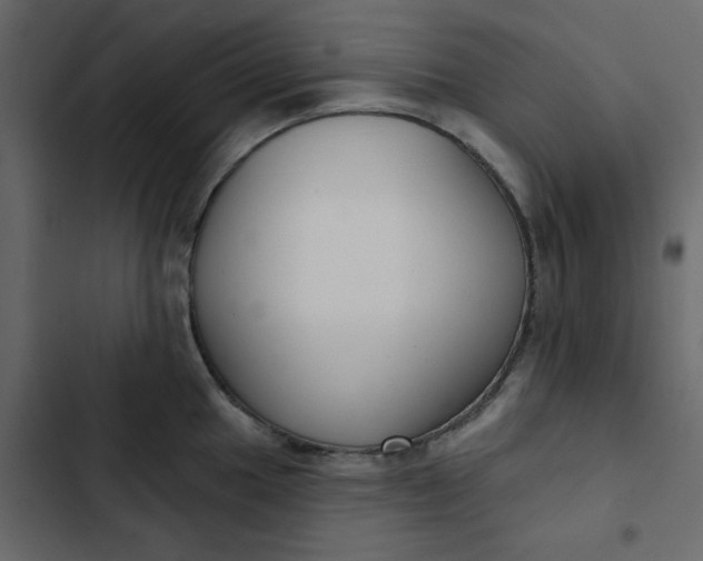 X0000102851049200809021356