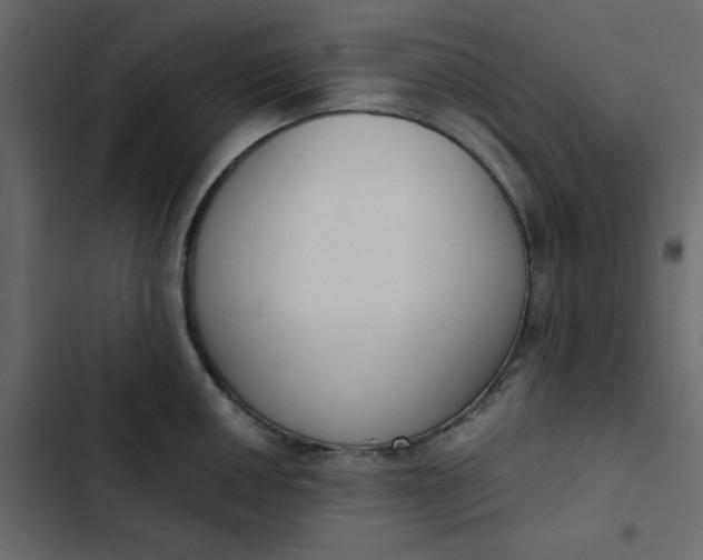 X0000102851050200809021356