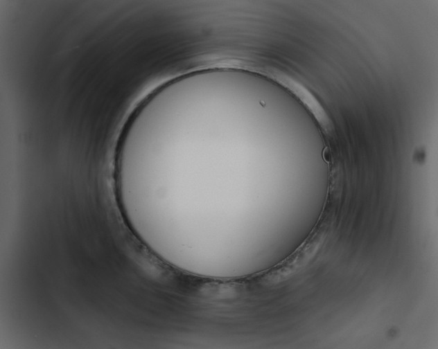 X0000102851051200809021356