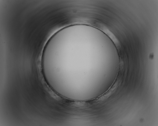 X0000102851052200809021356