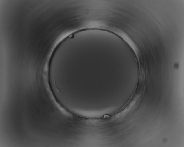 X0000102851053200809021356