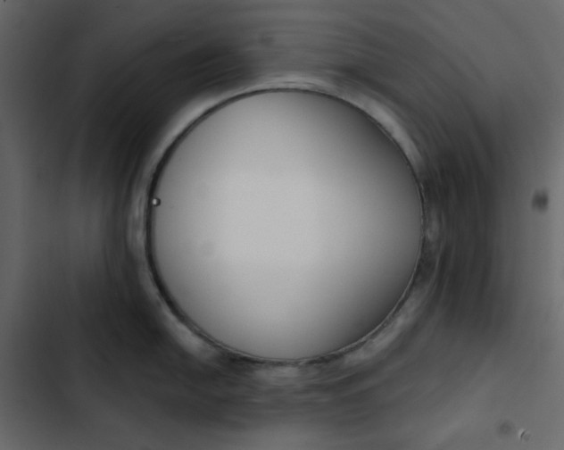 X0000102851054200809021356