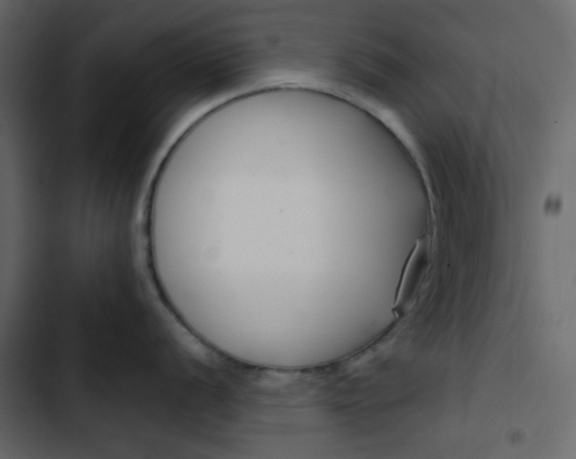 X0000102851056200809021356