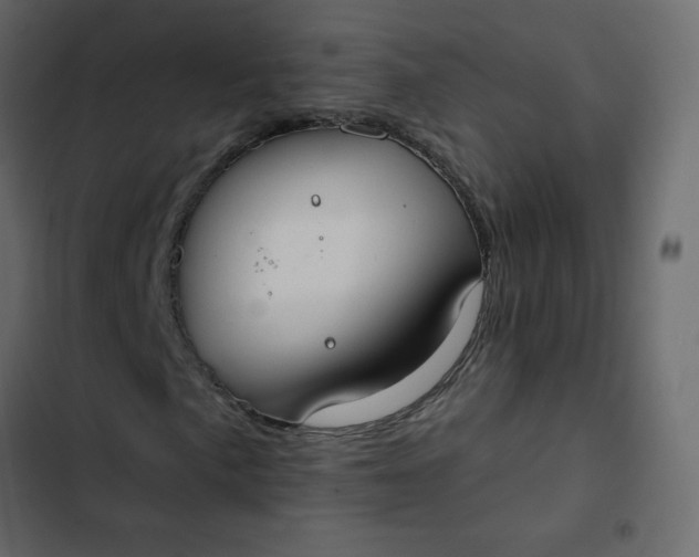 X0000102851057200809021355