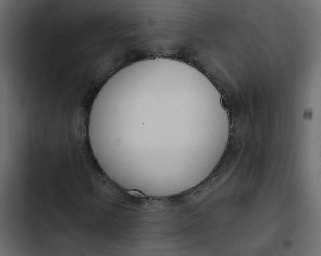 X0000102851058200809021355