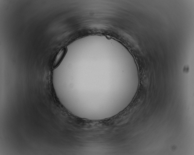 X0000102851061200809021355