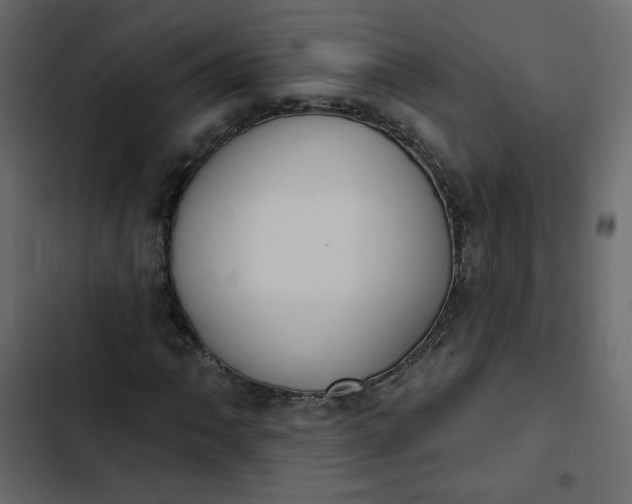 X0000102851062200809021355