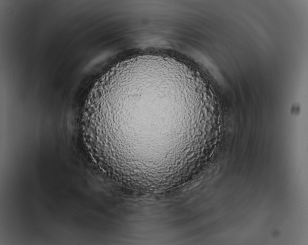 X0000102851063200809021355