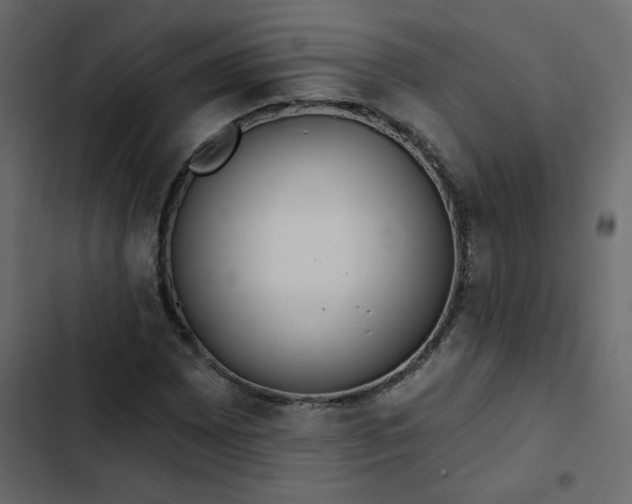 X0000102851065200809021355