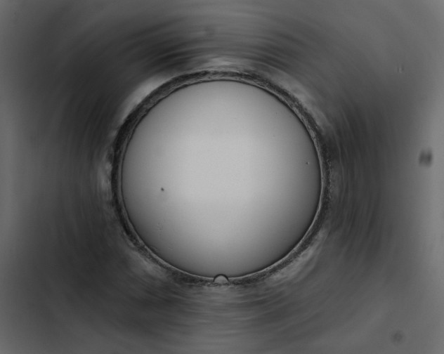 X0000102851066200809021355