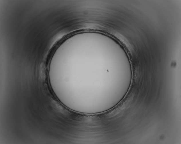 X0000102851067200809021355