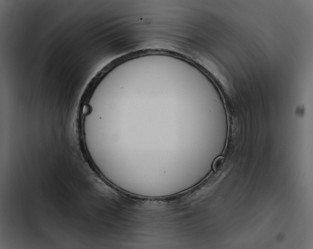 X0000102851068200809021355