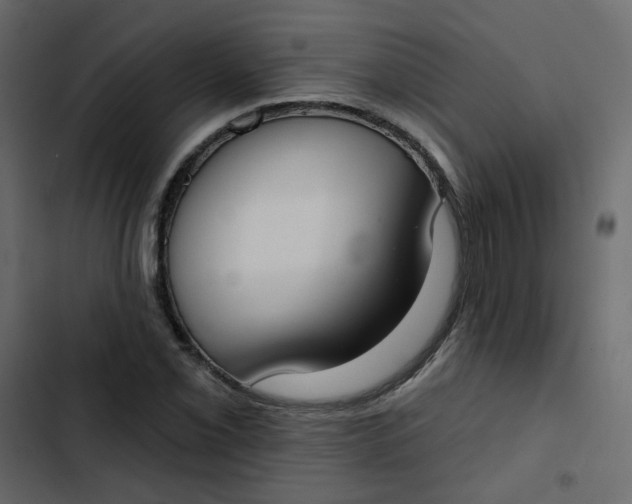 X0000102851069200809021355