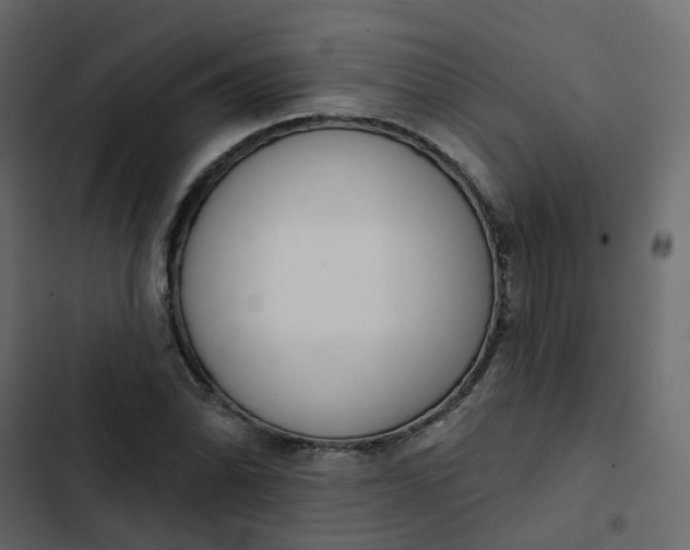 X0000102851070200809021355