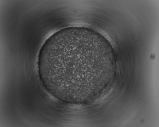 X0000102851071200809021355