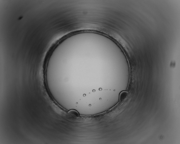 X0000102851072200809021355