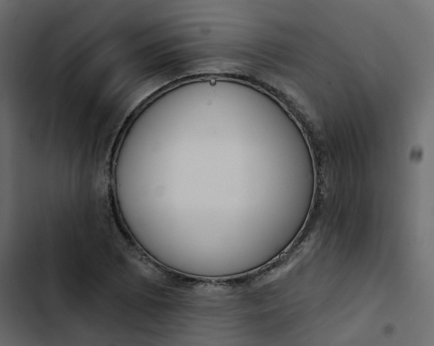 X0000102851073200809021355