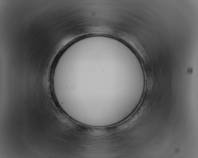 X0000102851074200809021355