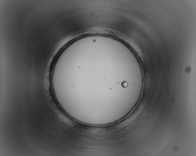 X0000102851075200809021355