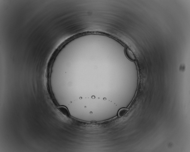 X0000102851076200809021355